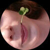 carrots_mars